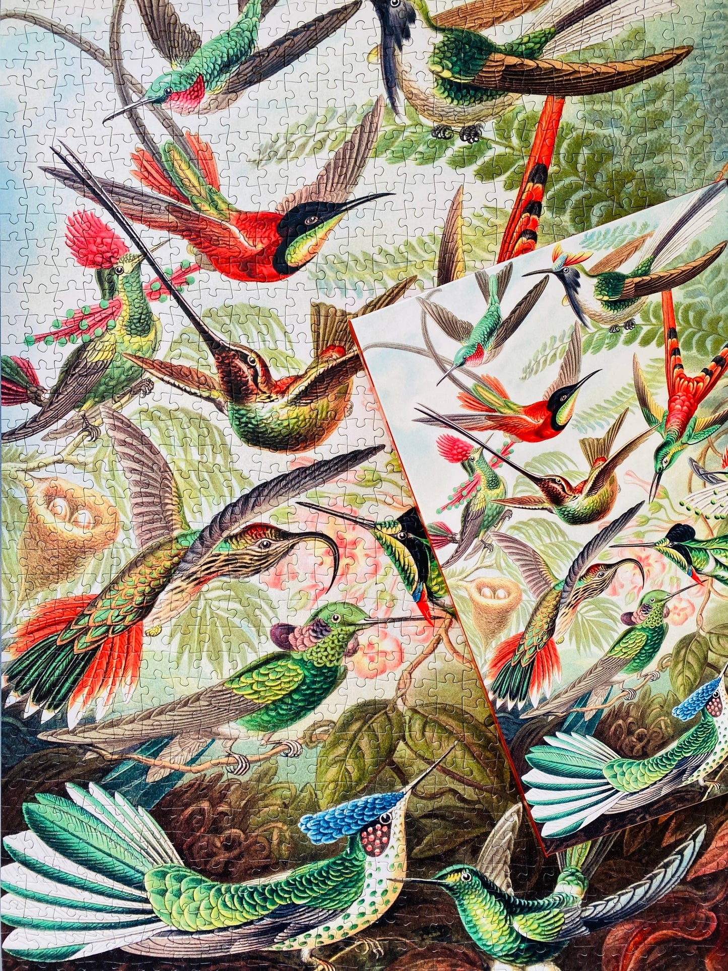 Hummingbirds 1000 piece Vintage jigsaw puzzle
