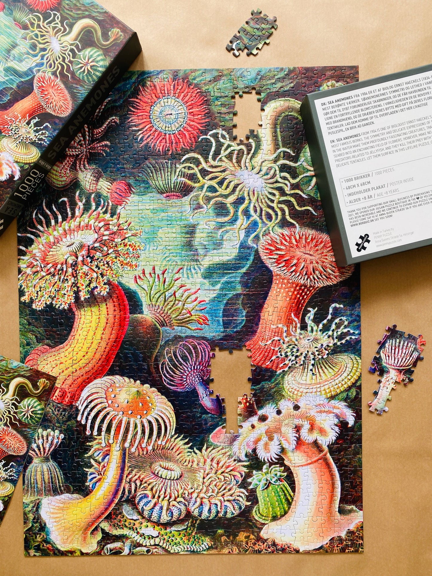 Sea Anemones - Penny Puzzle