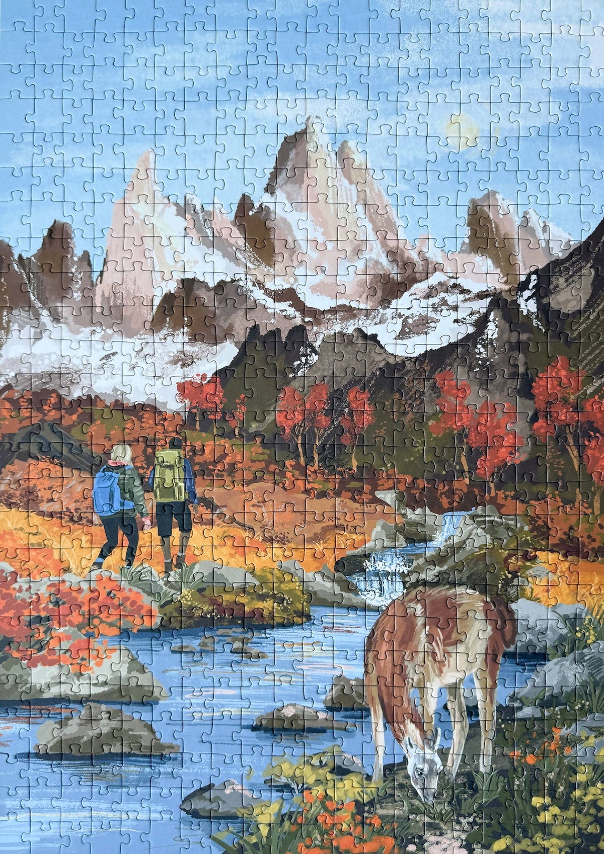 Patagonia, 500 pieces Piecely