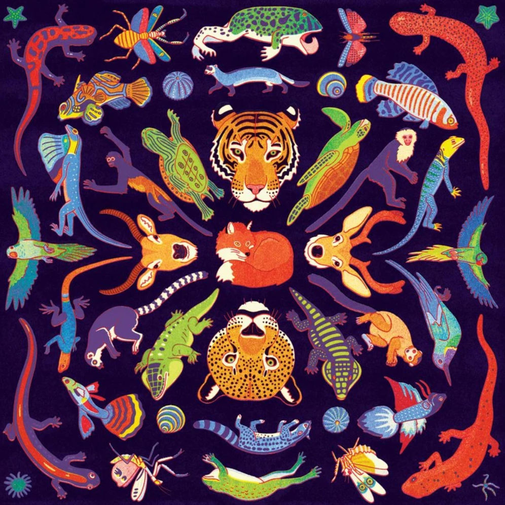 Mudpuppy - Kaleido - Wild