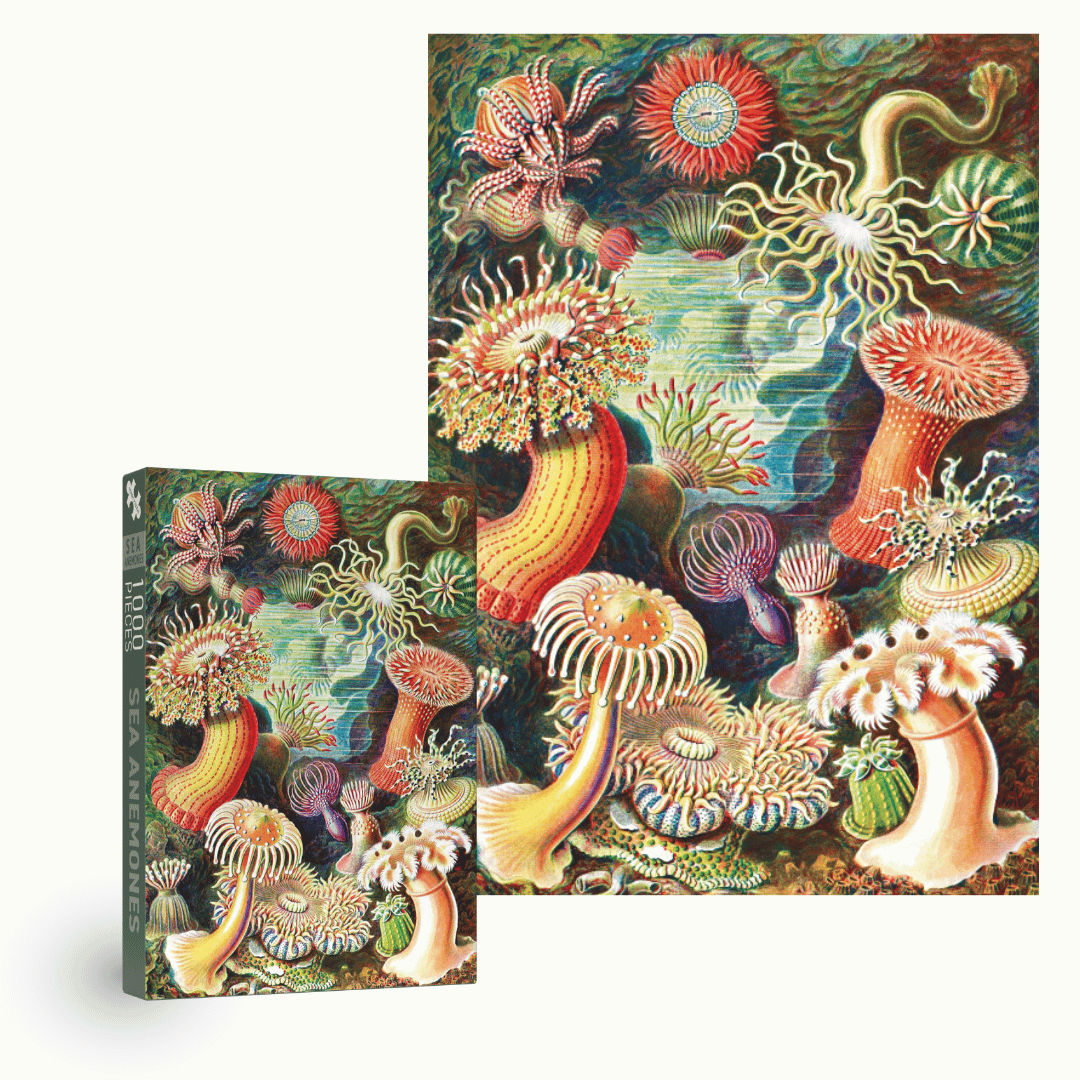 Sea Anemones - Penny Puzzle