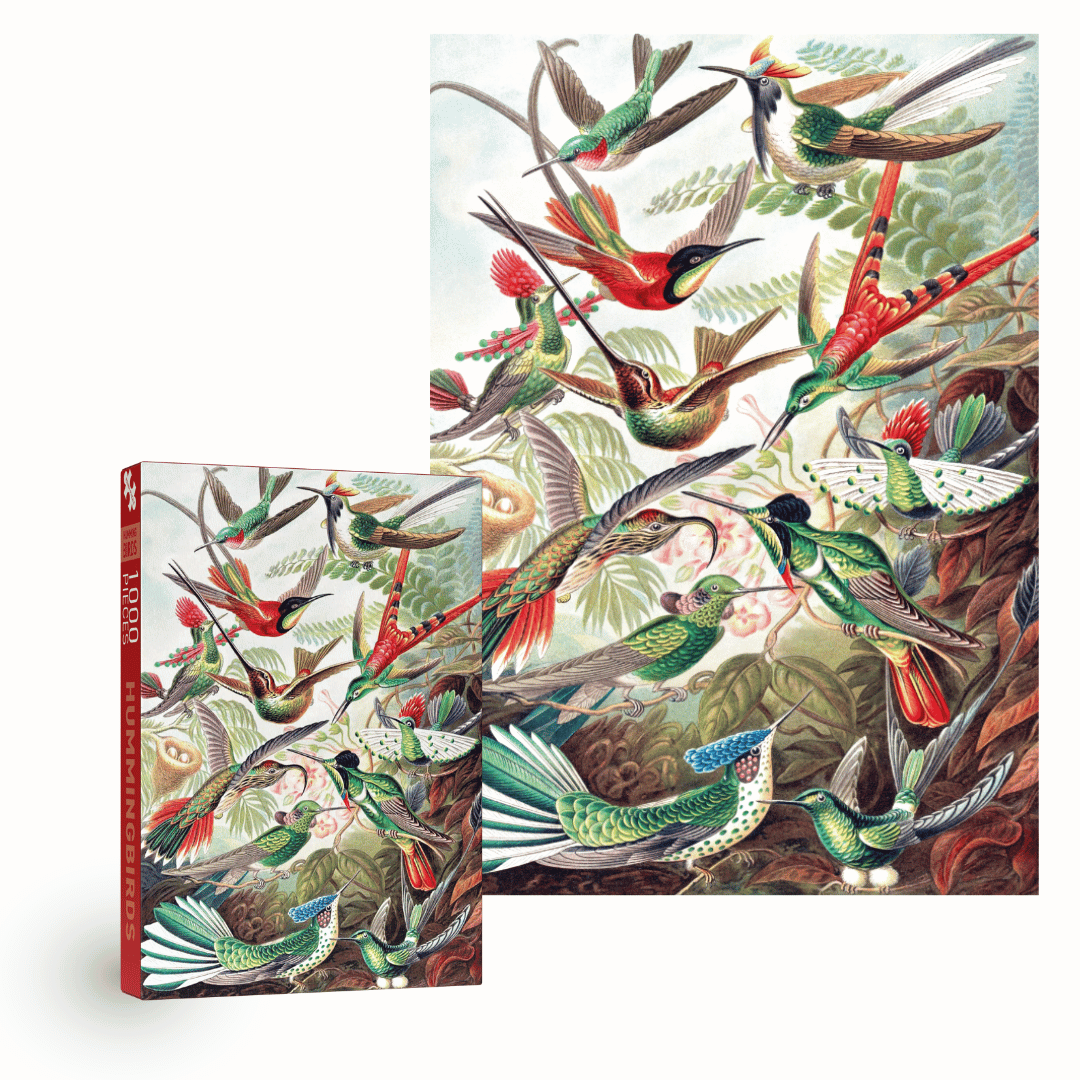 Hummingbirds 1000 piece Vintage jigsaw puzzle