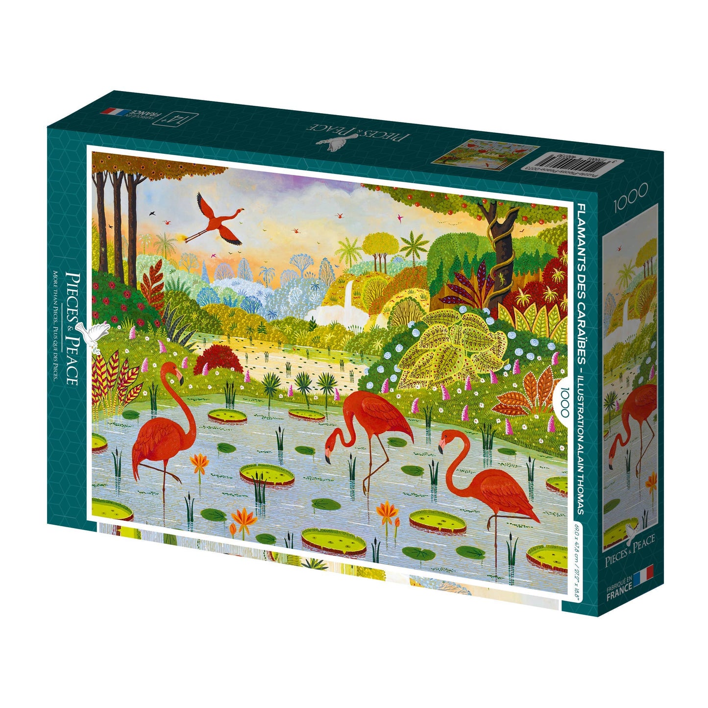 Caribbean Flamingos - Pieces and Peace