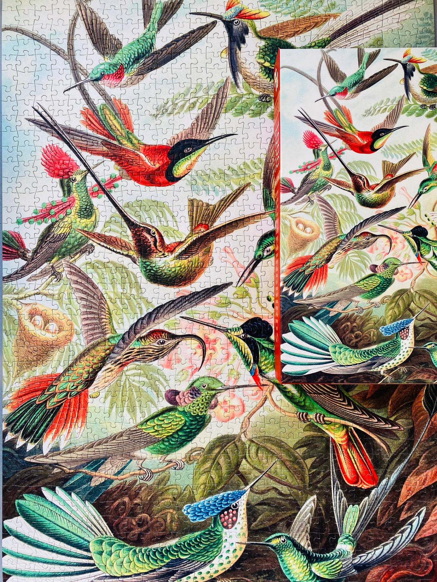 Hummingbirds 1000 piece Vintage jigsaw puzzle