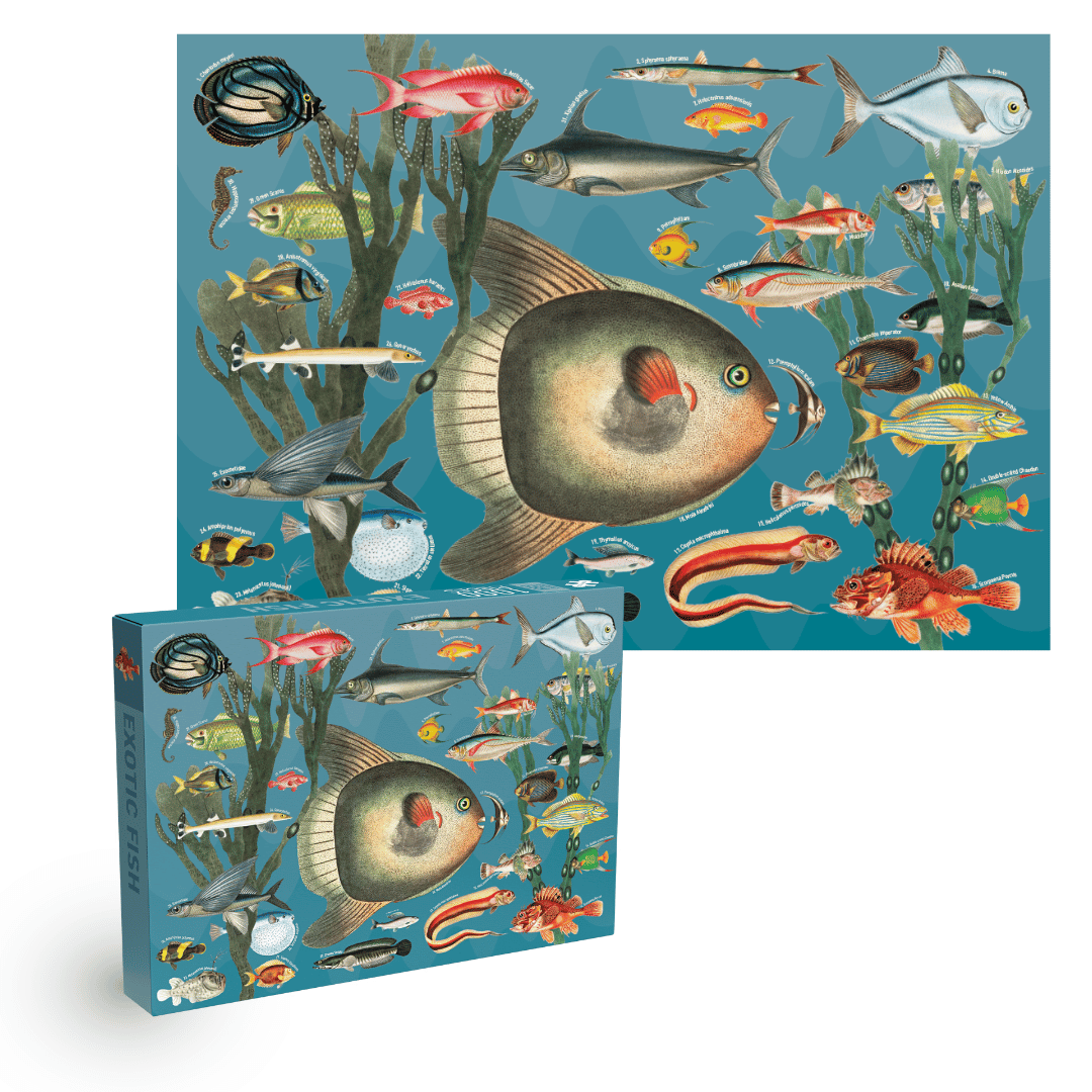 Exotic Fish 1000 piece Vintage jigsaw puzzle