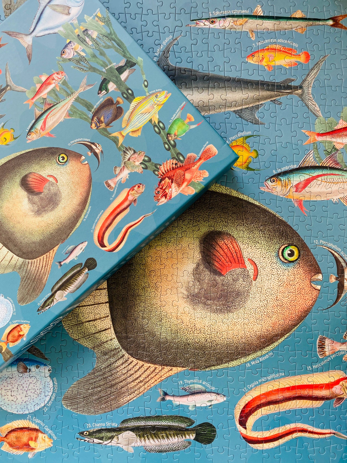 Exotic Fish 1000 piece Vintage jigsaw puzzle