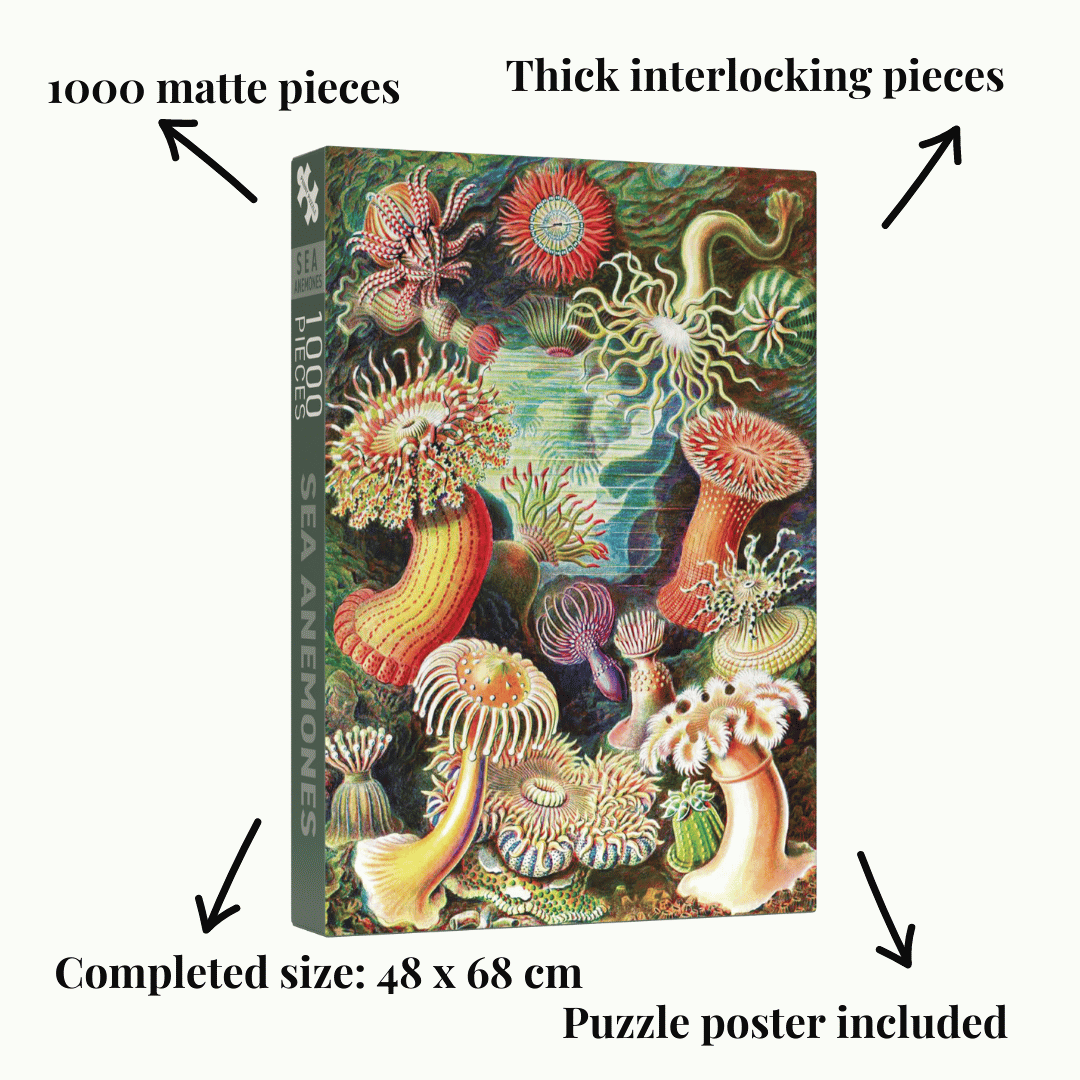 Sea Anemones - Penny Puzzle