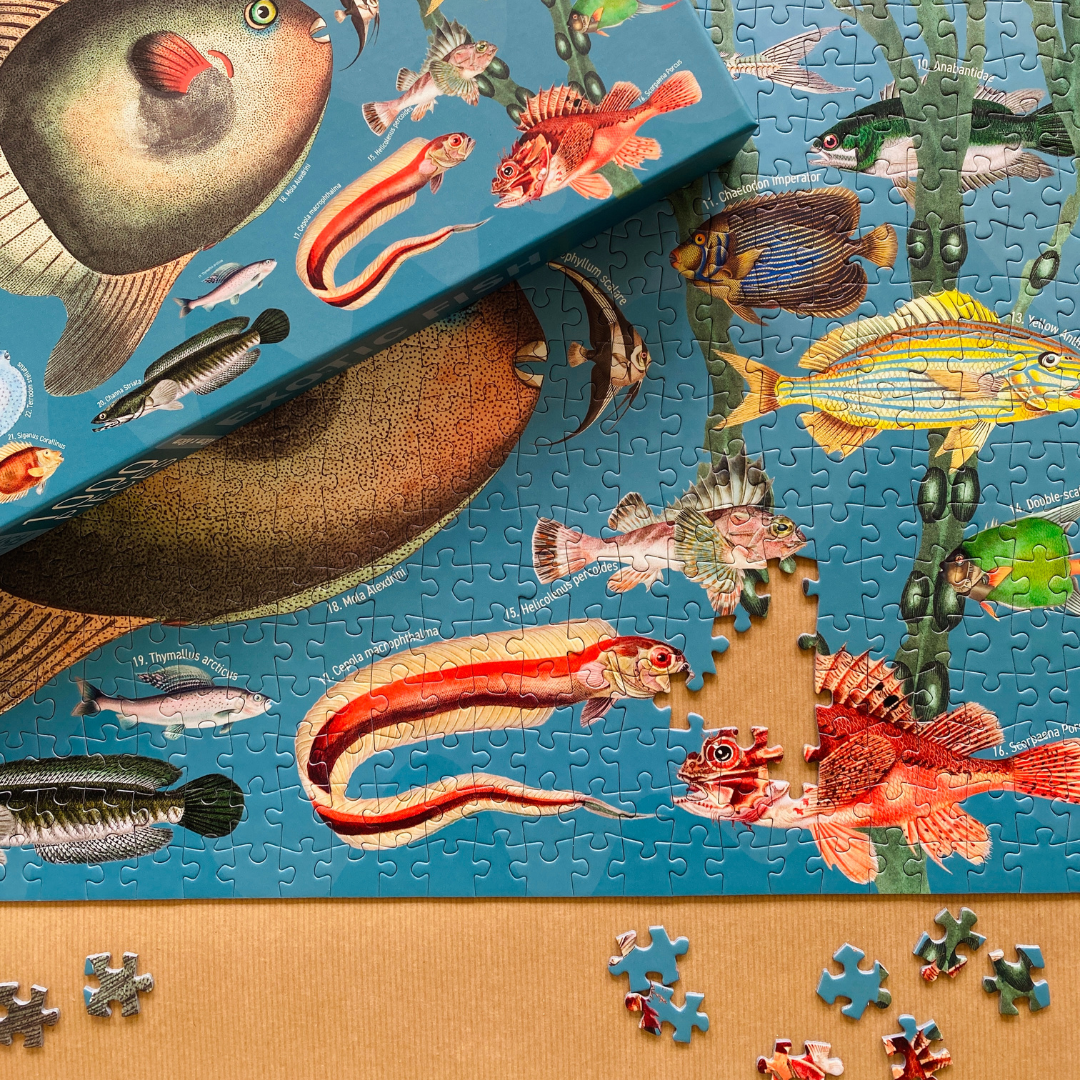 Exotic Fish 1000 piece Vintage jigsaw puzzle