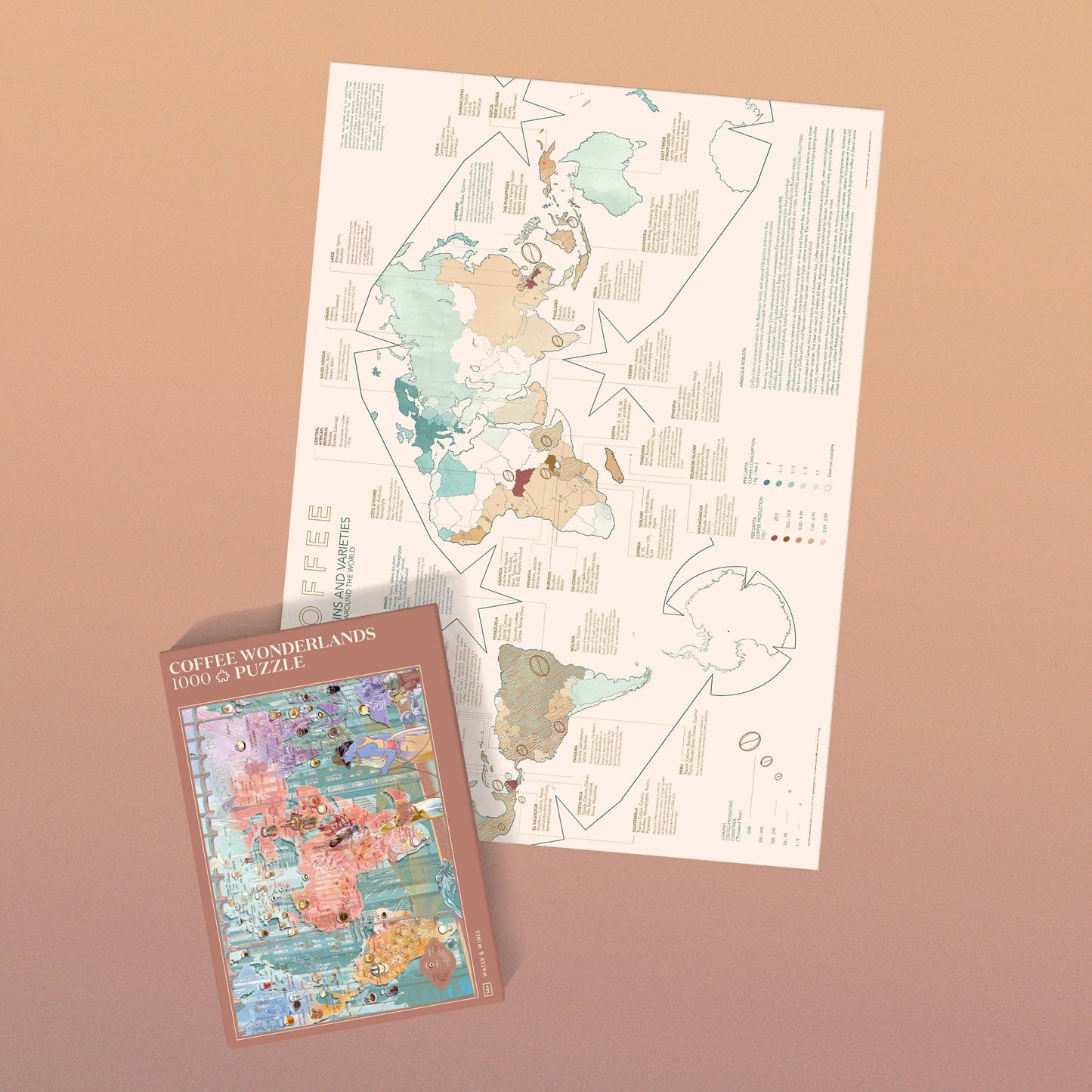 World of Coffee Puzzle - Water and Wines