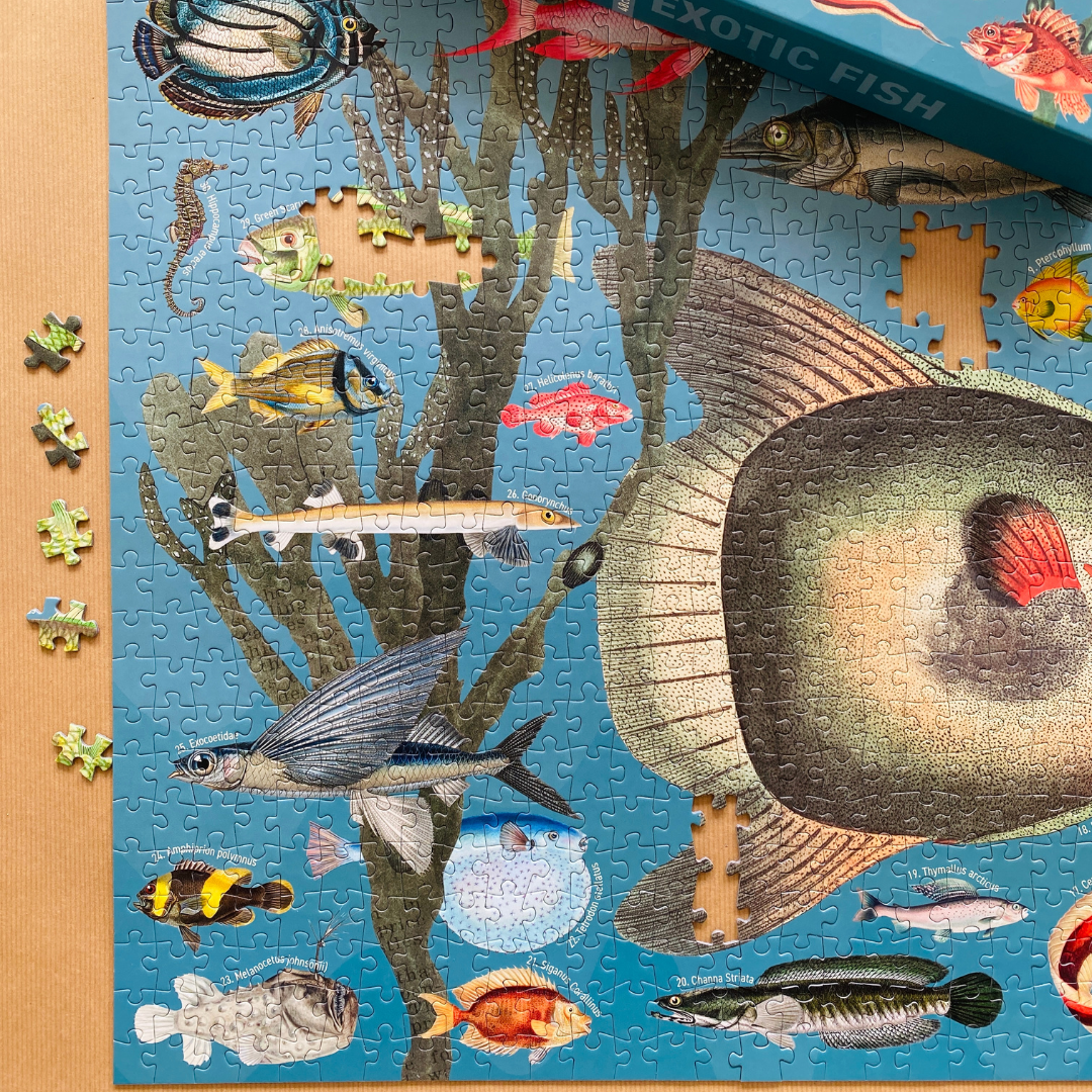 Exotic Fish 1000 piece Vintage jigsaw puzzle
