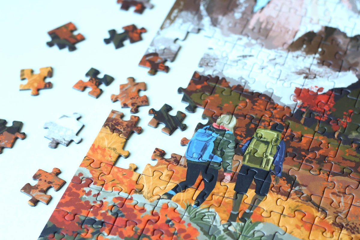 Patagonia, 500 pieces Piecely
