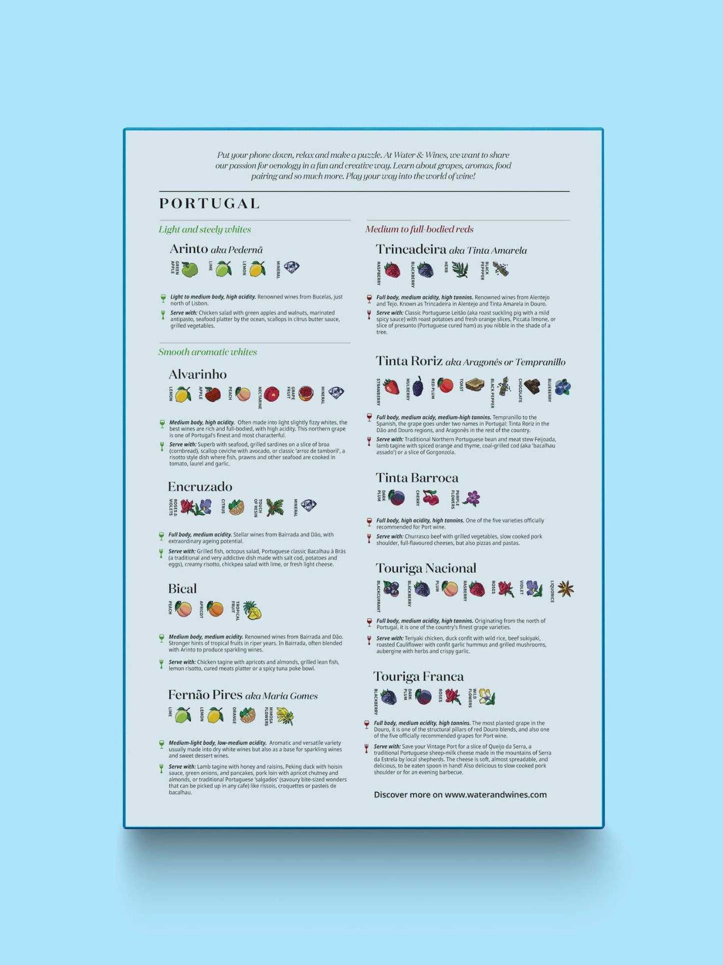 Portugal Wine Puzzle - Water and Wines