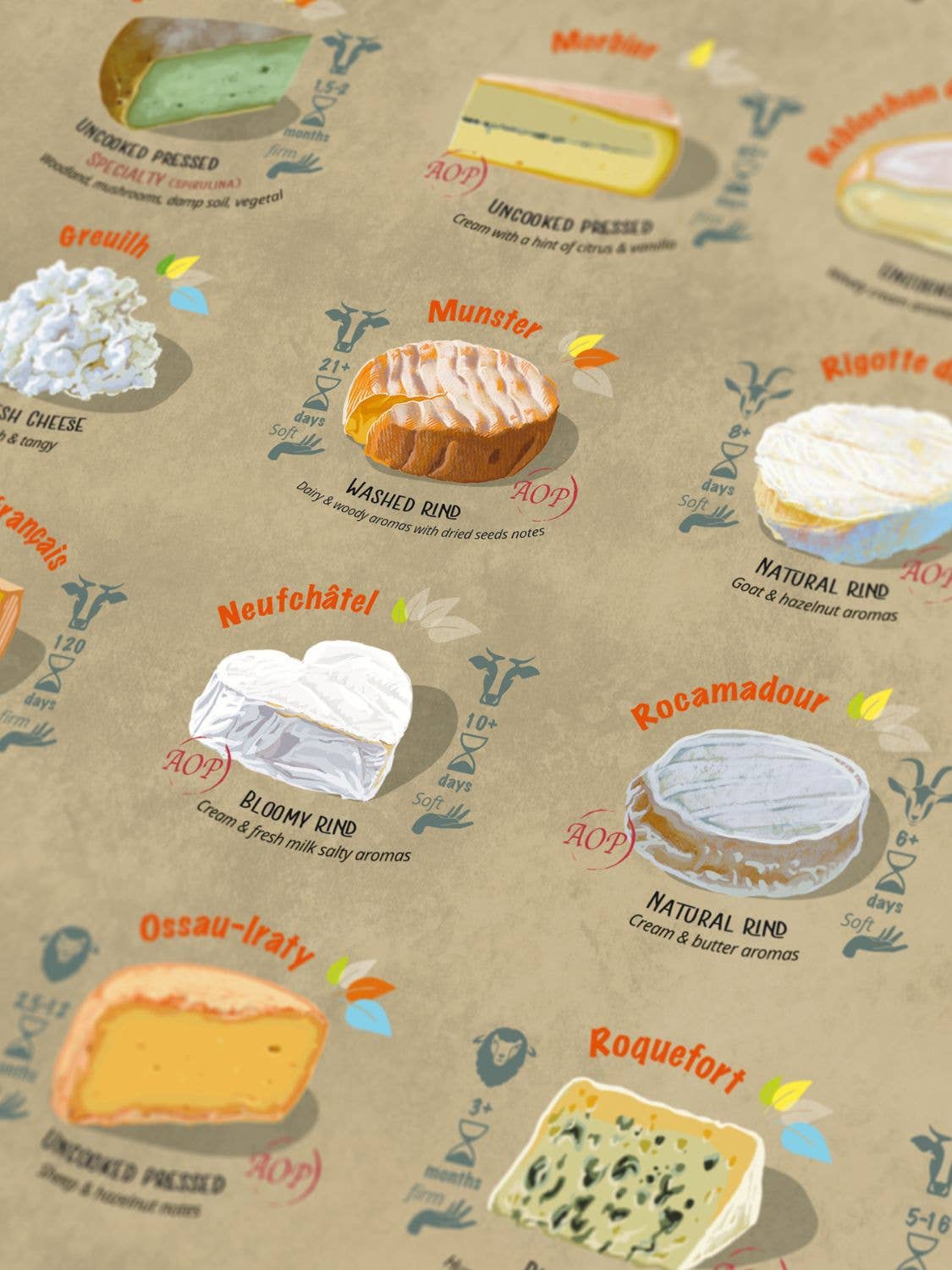 France Cheese Puzzle - Water and Wines