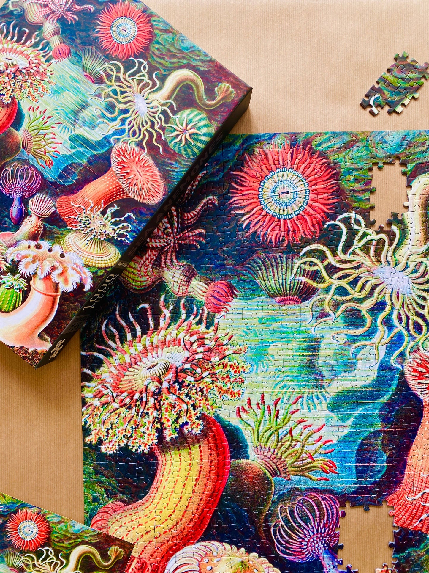 Sea Anemones - Penny Puzzle