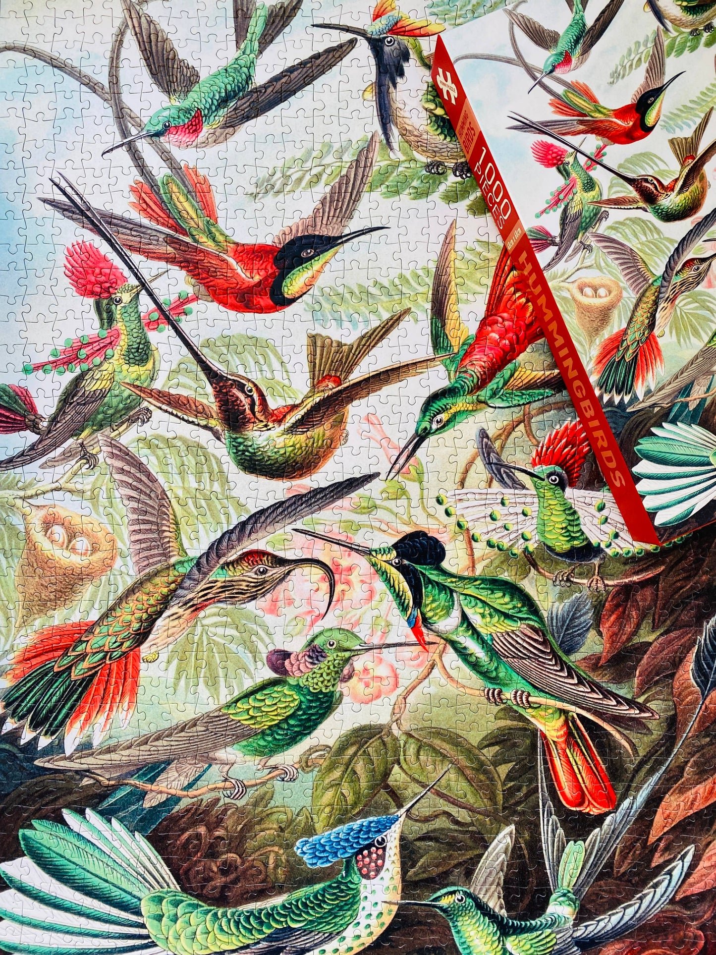 Hummingbirds 1000 piece Vintage jigsaw puzzle