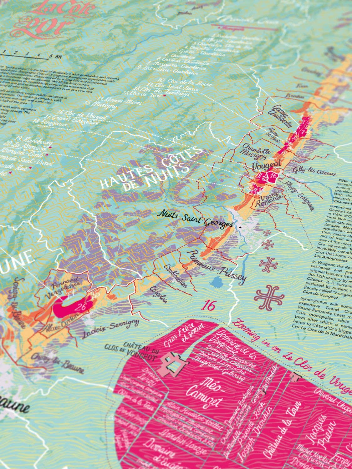 Bourgogne Wine Puzzle - Water and Wines