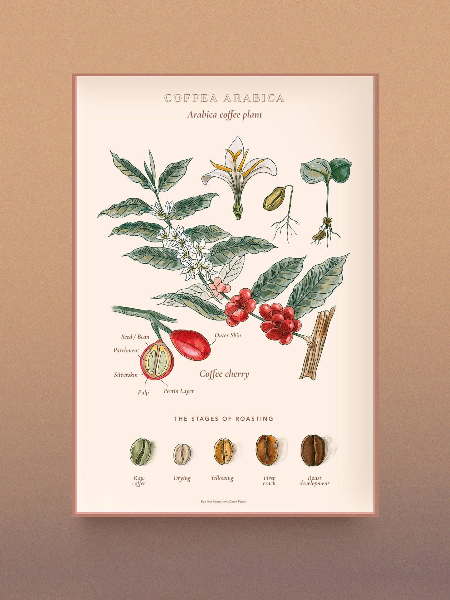 World of Coffee Puzzle - Water and Wines