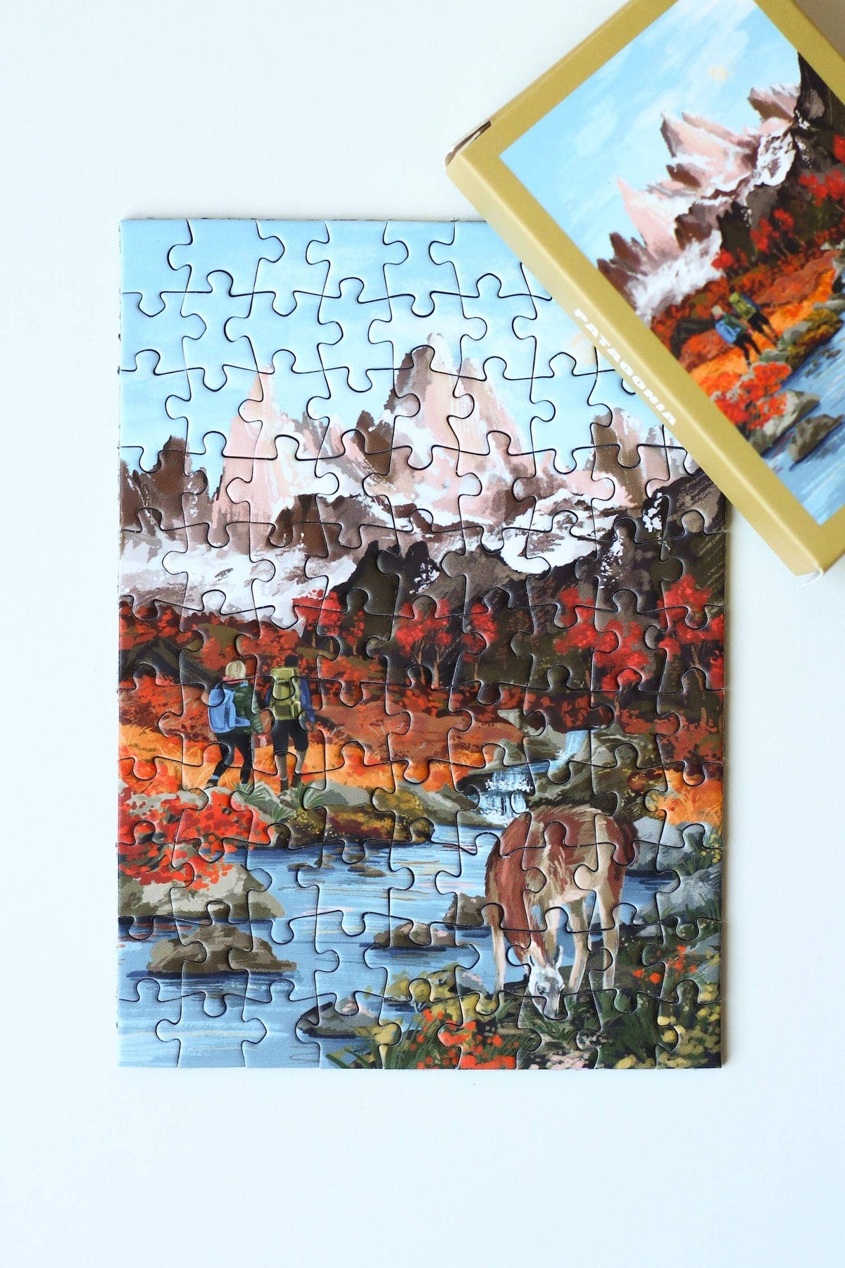 Patagonia, 99 pieces - Piecely