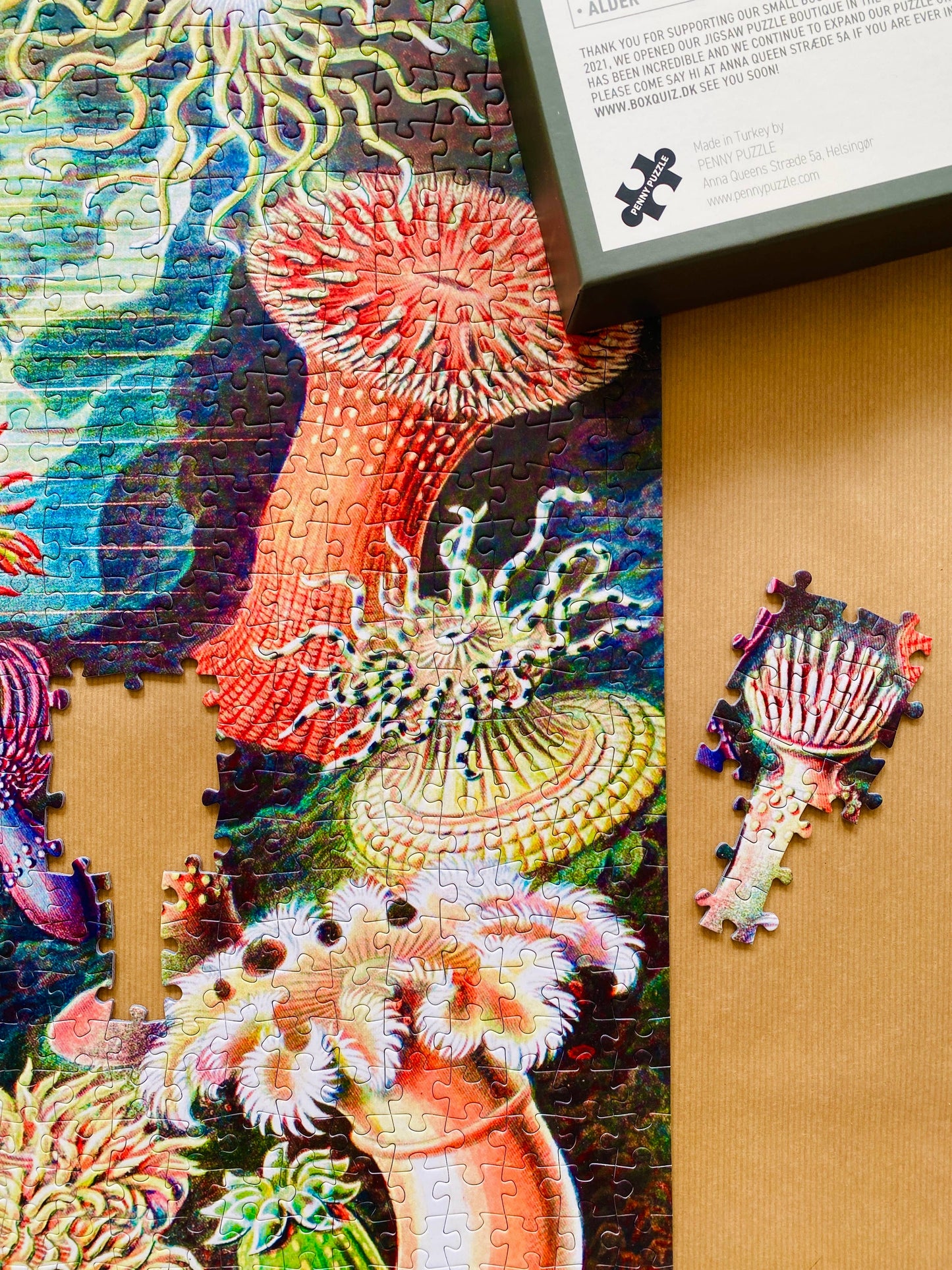 Sea Anemones - Penny Puzzle