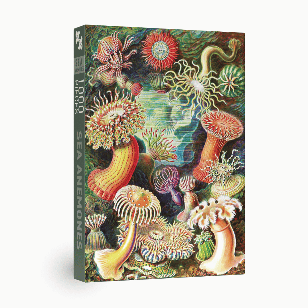 Sea Anemones - Penny Puzzle