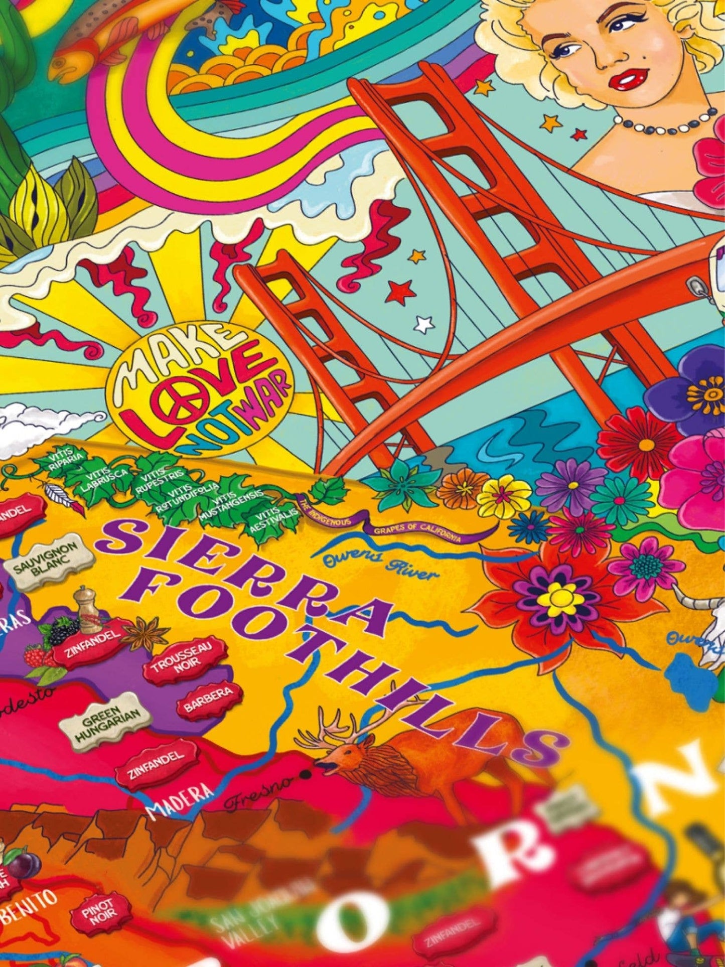 California Wine Puzzle - Water and Wines