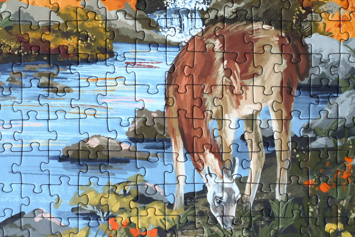 Patagonia, 500 pieces Piecely